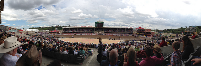 The View From The Grandstand At The Calgary Stampede