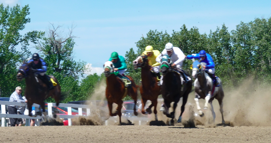 Calgary Needs A Horse Race Track