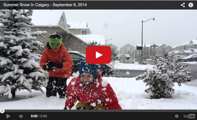 Summer Snow In Calgary - Buzz Bishop